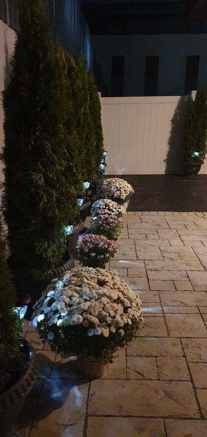 Apartmán Casuta Din Copou Iasi Exteriér fotografie